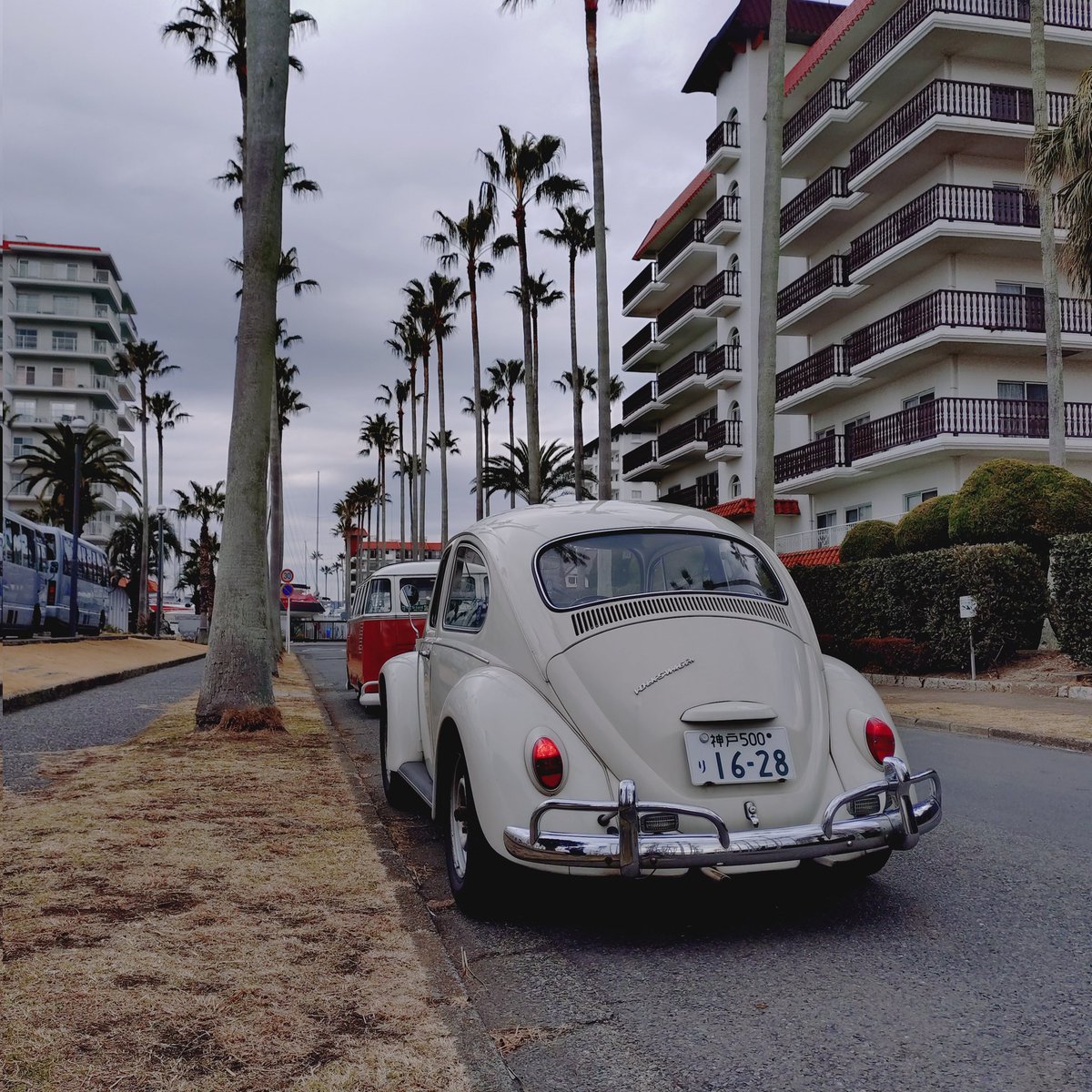 Post by ろくななまにあ on X: #ハワイ