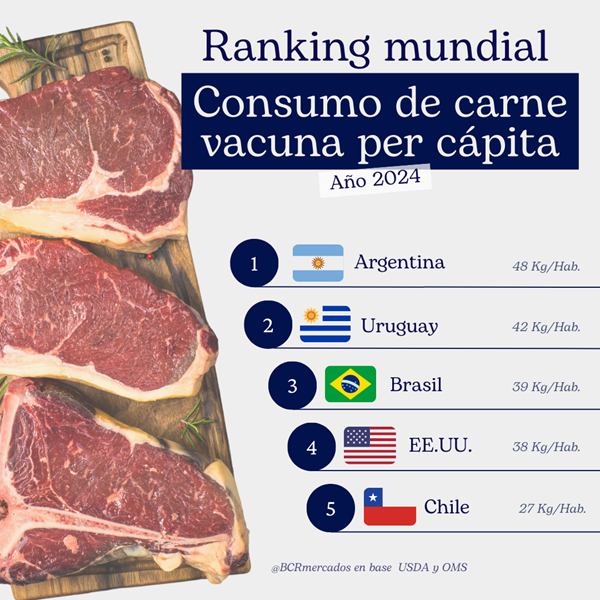 José Jáuregui 🐄🍀 tweet media