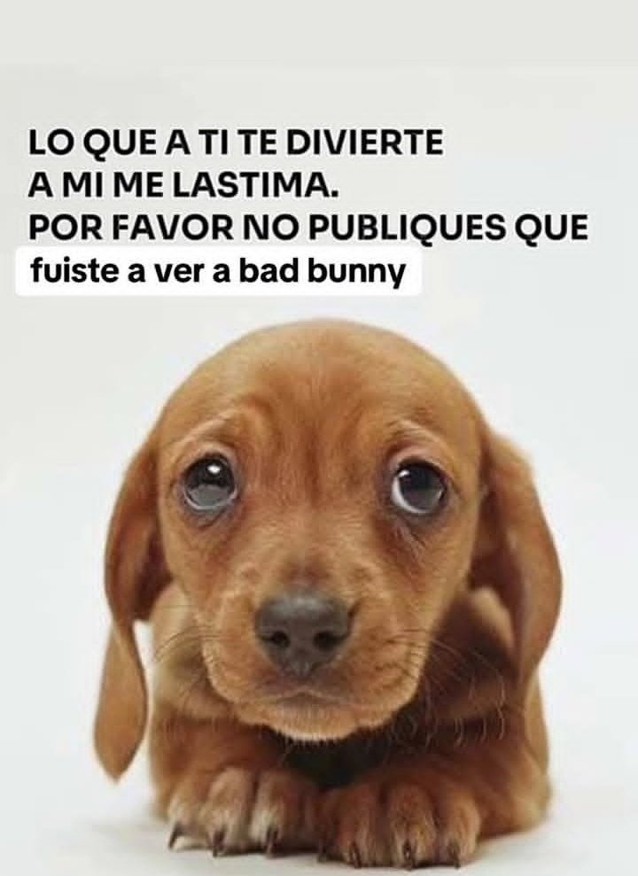 emilita lvs nahi🇦🇷 (@emilittaq) on Twitter photo 