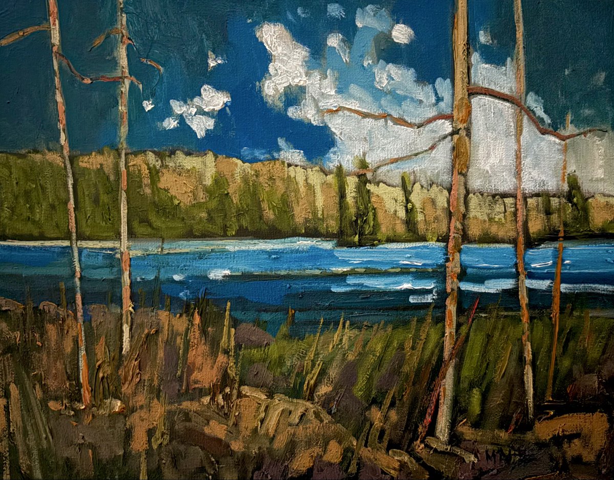 robert mcaffee tweet media