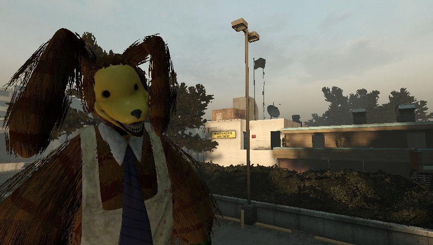 Mr. Pumpkin Rabbit tweet media