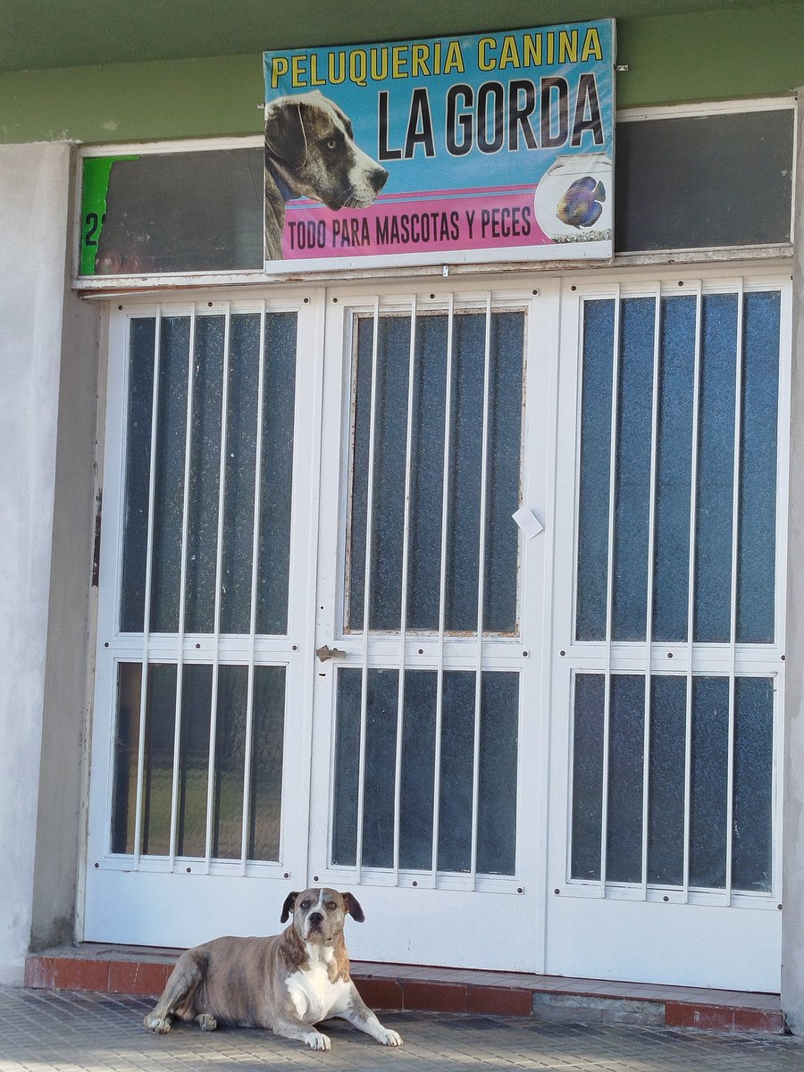 Pobreza estructural (@fallahumana) on Twitter photo 