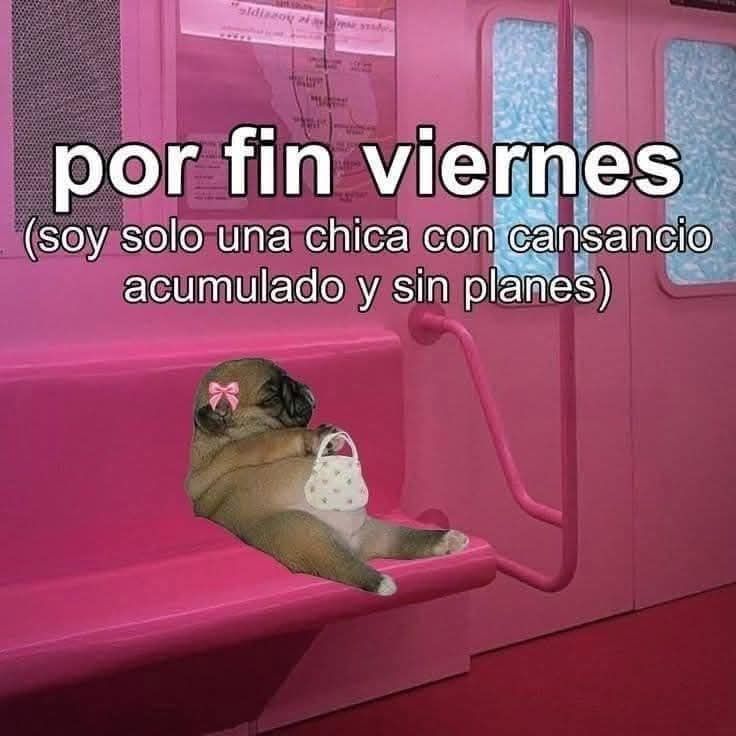 bunuelita's tweet image. 