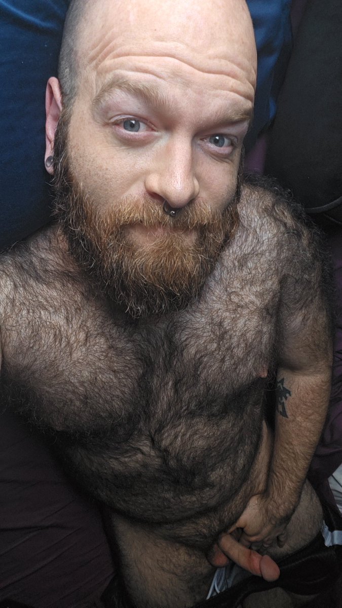 HairyHyperion tweet media