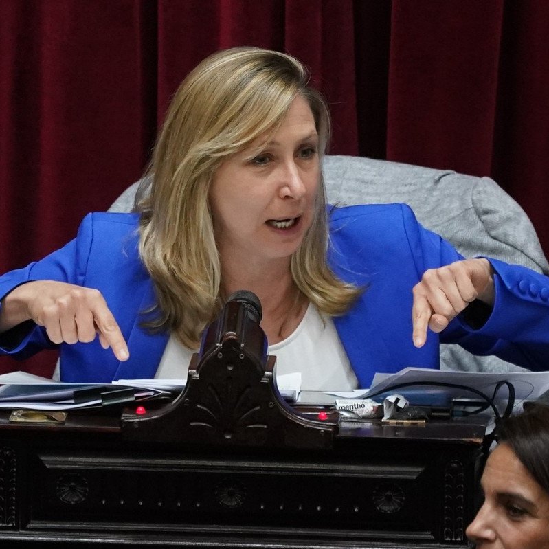 BREGMAN: "DA UNA BRONCA TERRIBLE QUE SENADORES QUE COBRAN 10 MILLONES DE PESOS DECIDEN QUE A UNA MAMÁ VAN A BAJARLE EL SALARIO AL 75%"

La dirigente del Frente de Izquierda Myriam Bregman apuntó contra los cambios en el régimen de licencias por enfermedad o lesión de la reforma