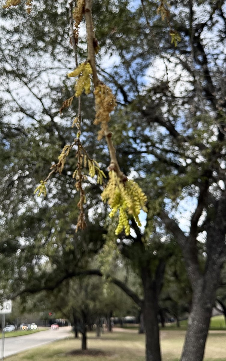 Jack C. Schultz tweet media