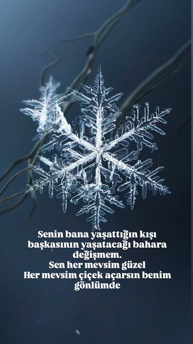 şair (@1453bahabaha) on Twitter photo 