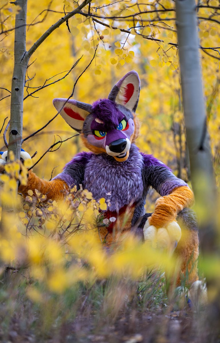 Antares 🔜 LVFC tweet media