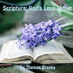 🪻🌿My Grace is sufficient 4u 2Corinthians 12:9🪻 tweet media