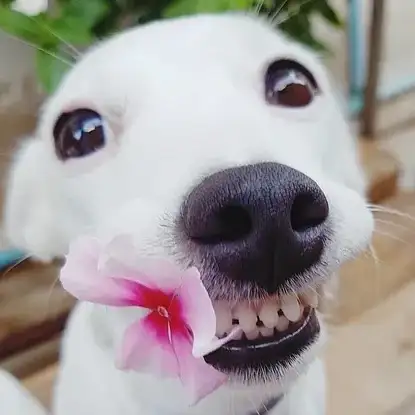 Max/EmSwizzle tweet media