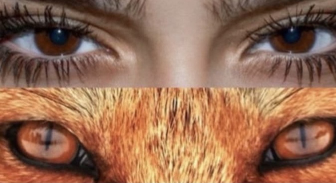 Human eyes, animal eyes