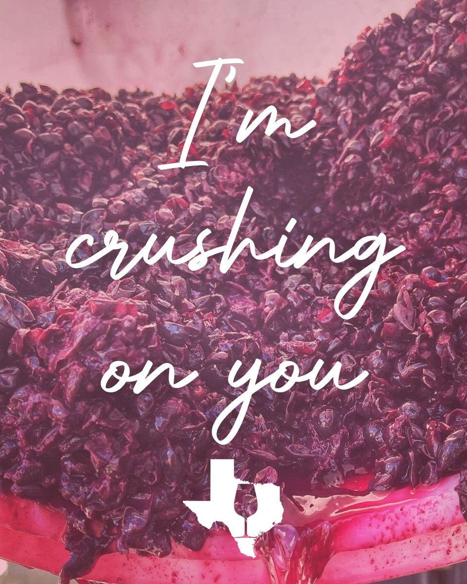 Uncork Texas Wines is crushing on you (and Texas wine)!

Commissioner Sid Miller invites you to celebrate Valentine's Day this Saturday with Uncork Texas Wines and spread the love one glass at a time! 🍷 ❤️ 

#UncorkTexasWines #TexasWine #ValentinesDay
