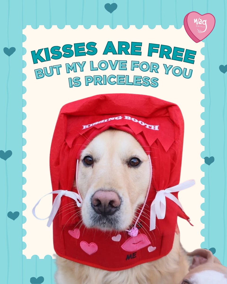 Wag Hotels tweet media