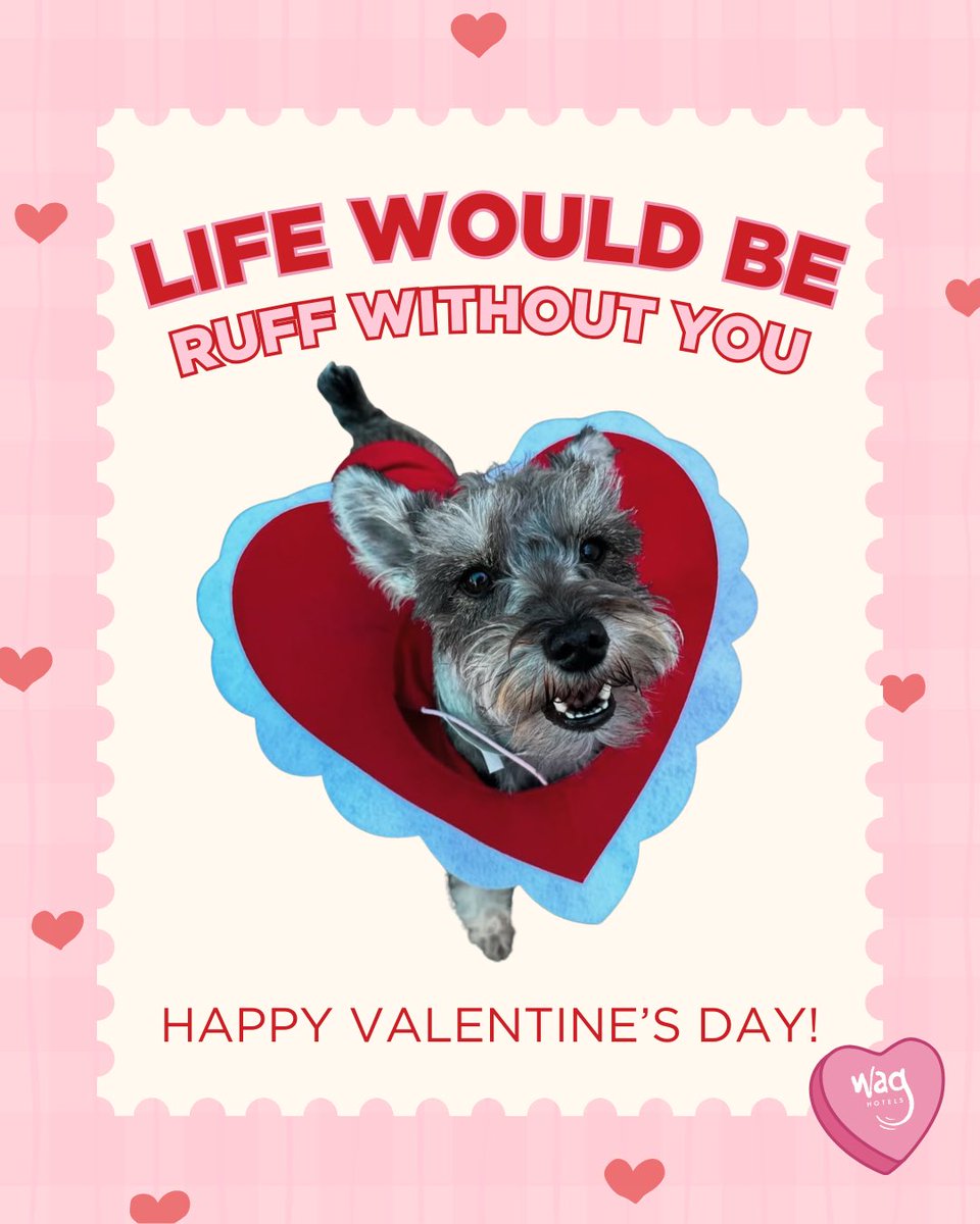 Wag Hotels tweet media