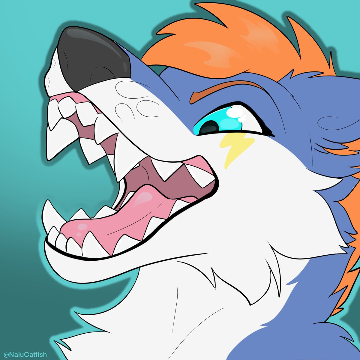 Nalu Catfeesh tweet media