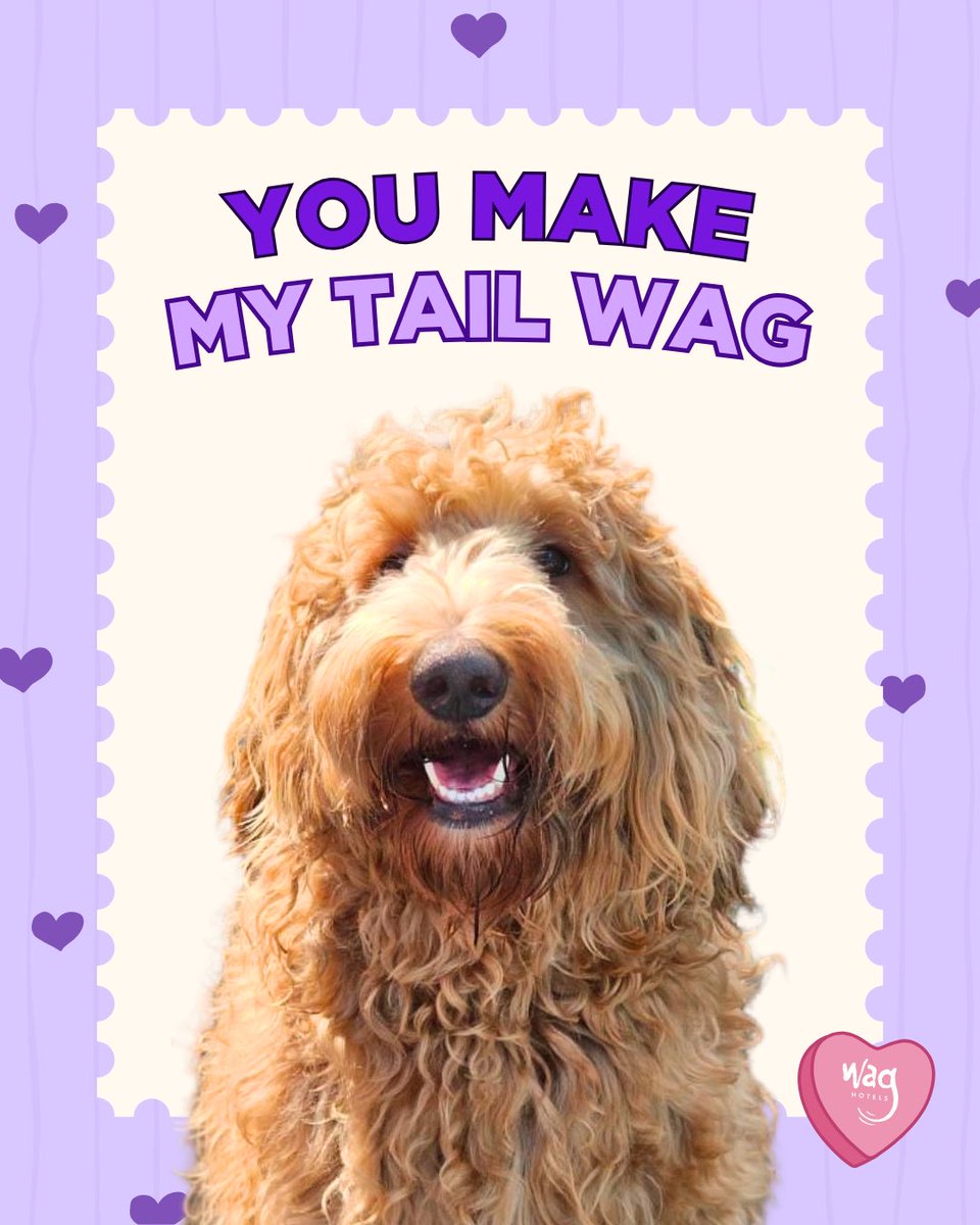 Wag Hotels tweet media