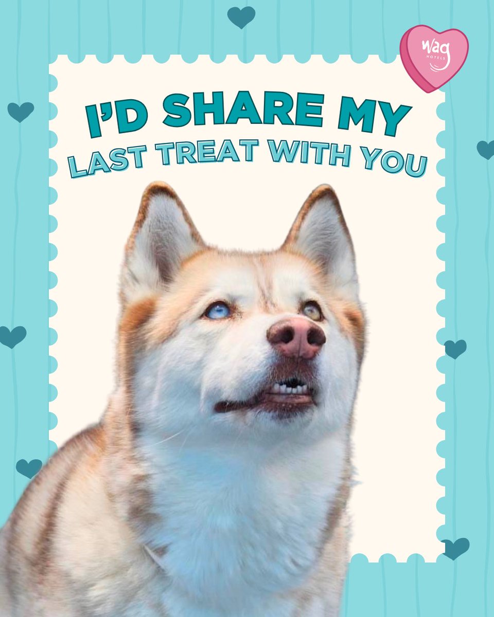 Wag Hotels tweet media