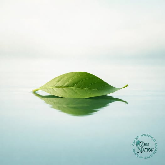 Take a deep breath.  It’s okay to not have the answers yet.
Today is Day 1 of our 10-part series for the newly diagnosed.
Our goal is to walk this path with you, one small step at a time.
And the very first step? Just breathe.