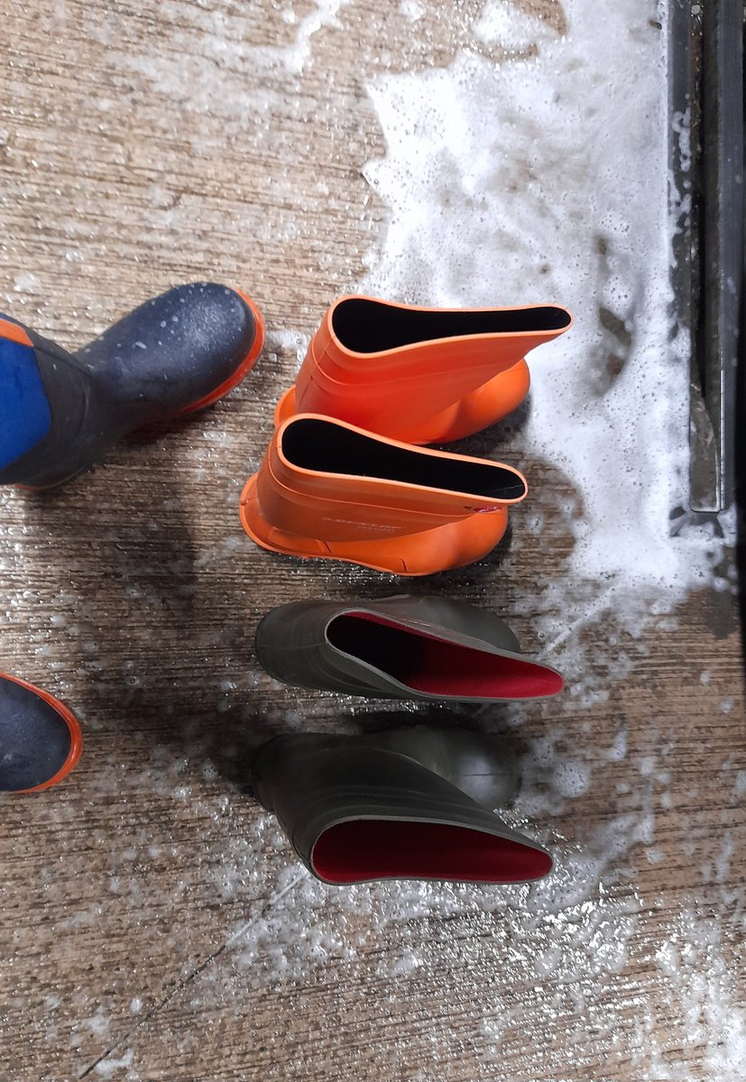 GAAkit&boots tweet media