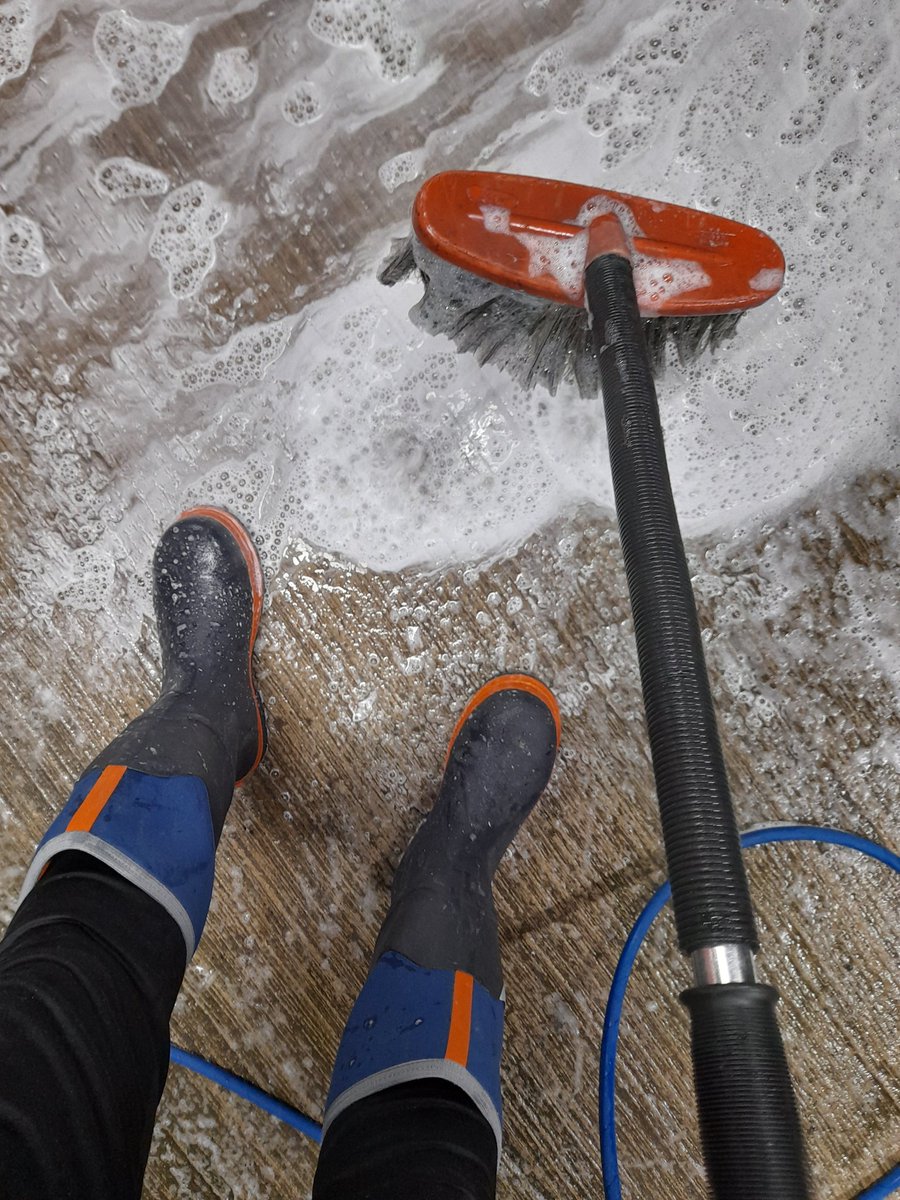 GAAkit&boots tweet media