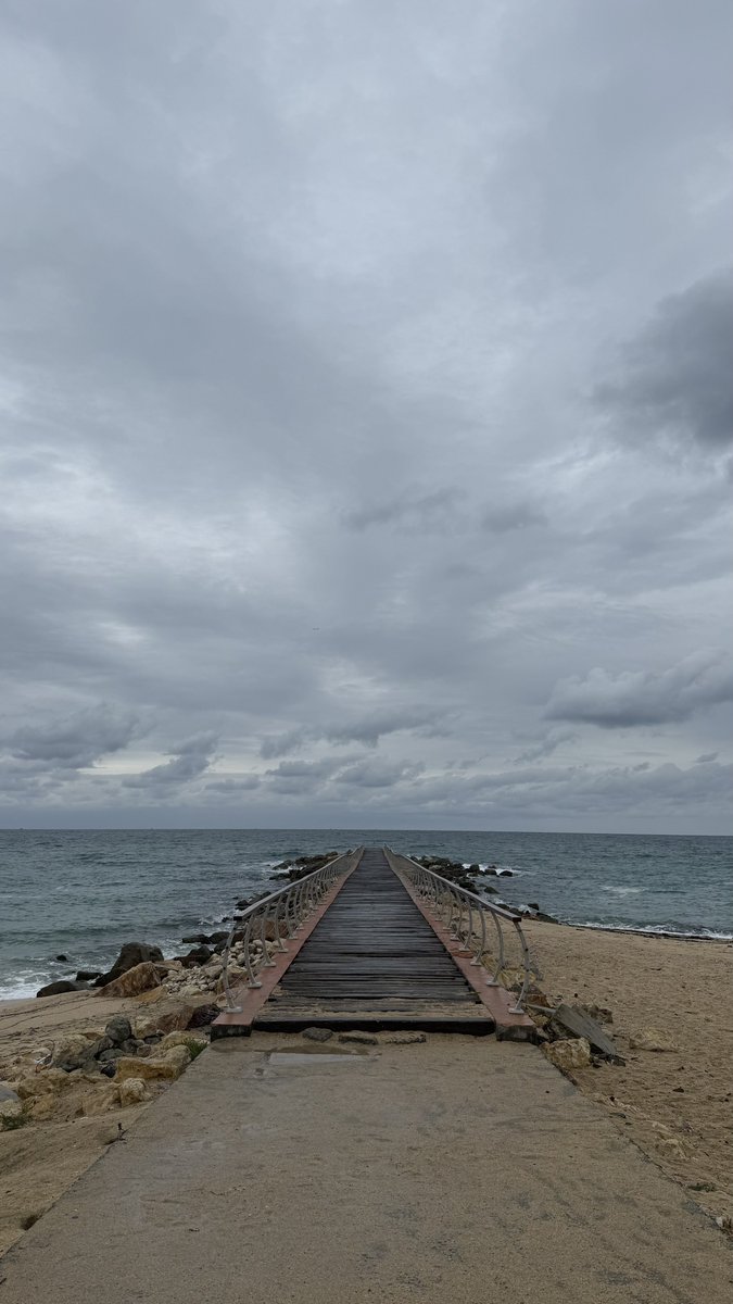 anothertry12's tweet image. 