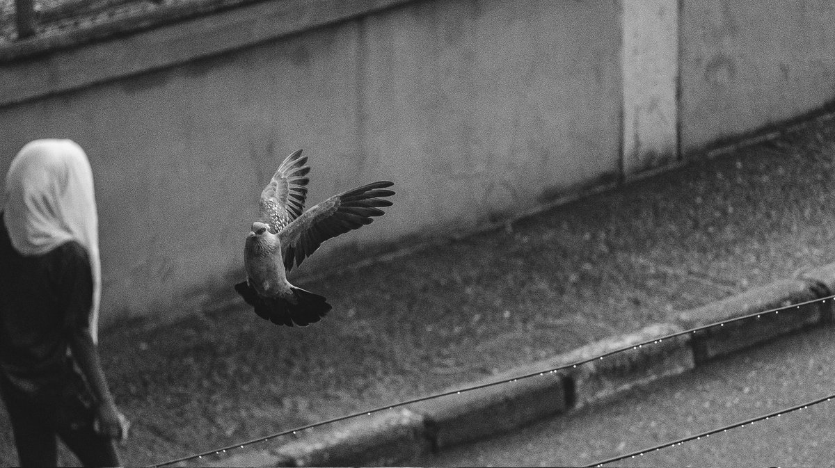 VictorSambo19's tweet photo. By the ways of air... https://t.co/yjUz0qOGwV