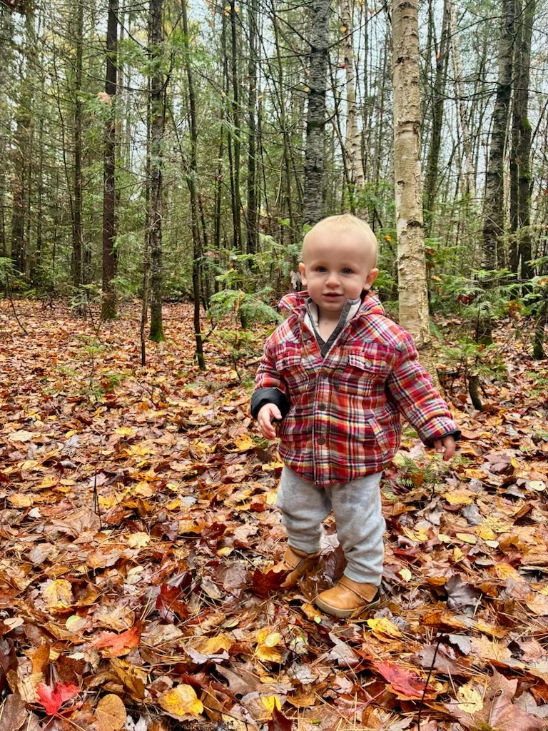 Because access to the effluent filter is required 

So are the risers to grade

Therefore safety screens must be installed under the lids as a redundancy for safety

No legal grandfathered exceptions are morally viable