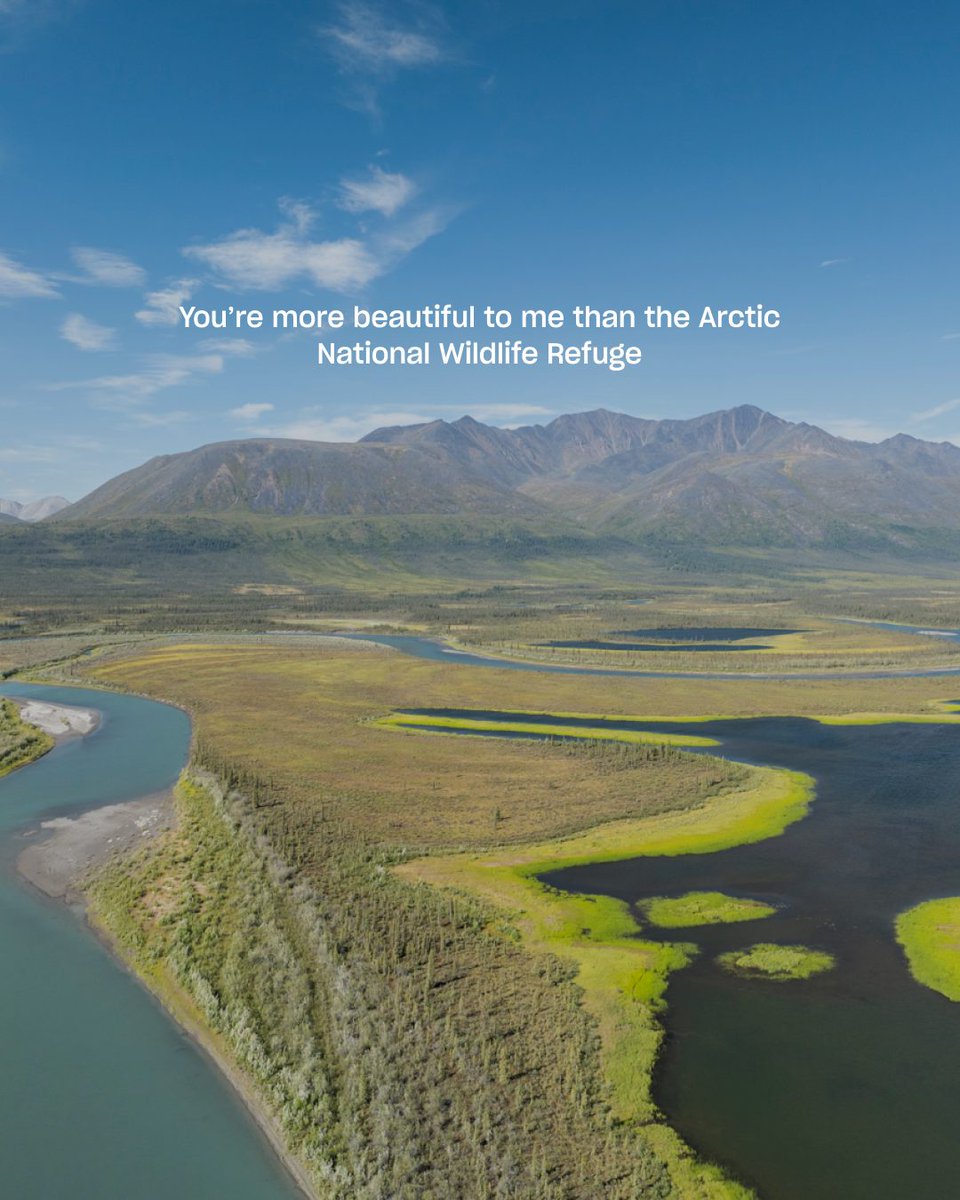 Protect Our Winters tweet media