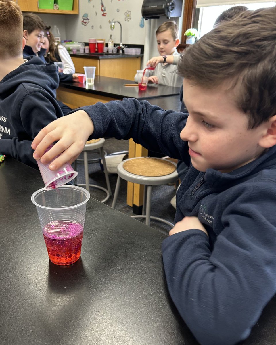 In Science Lab with Miss Annese, our second and third graders celebrated Valentine’s Day with a fun lava lamp experiment. Using oil, glitter, and Alka-Seltzer, they explored density and watched a chemical reaction create carbon dioxide gas, making the liquid move up and down