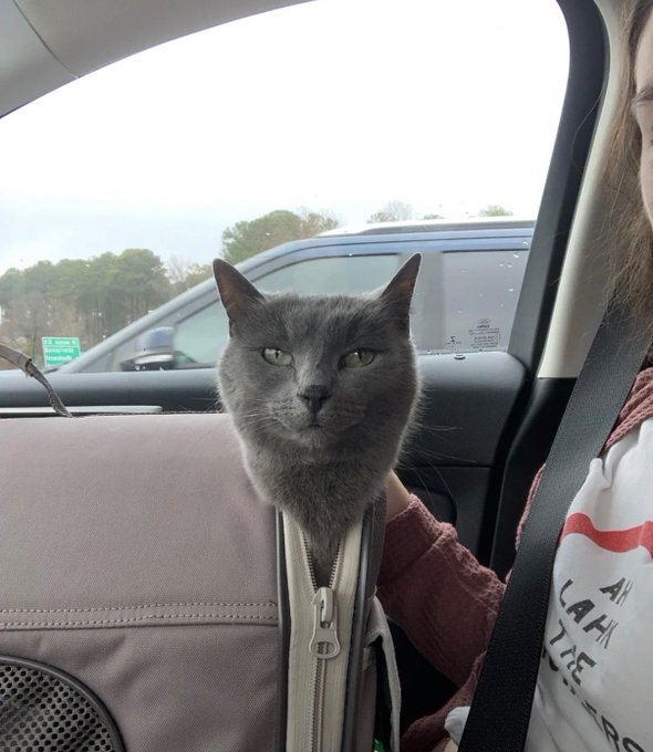 Zoinkerzz (@zoinkerzz) on Twitter photo 