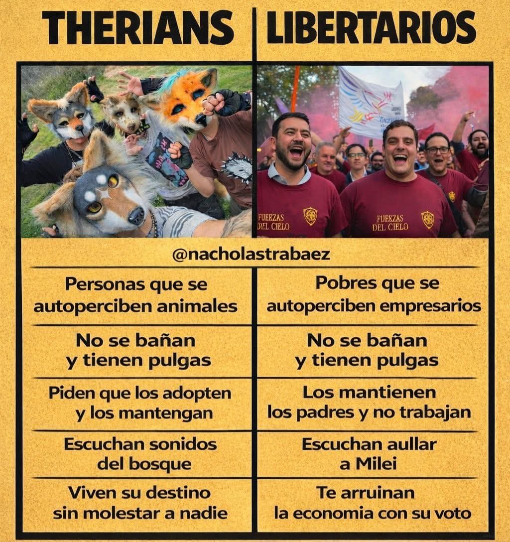 Nacho Lastra Baez (@nacholastrabaez) on Twitter photo 