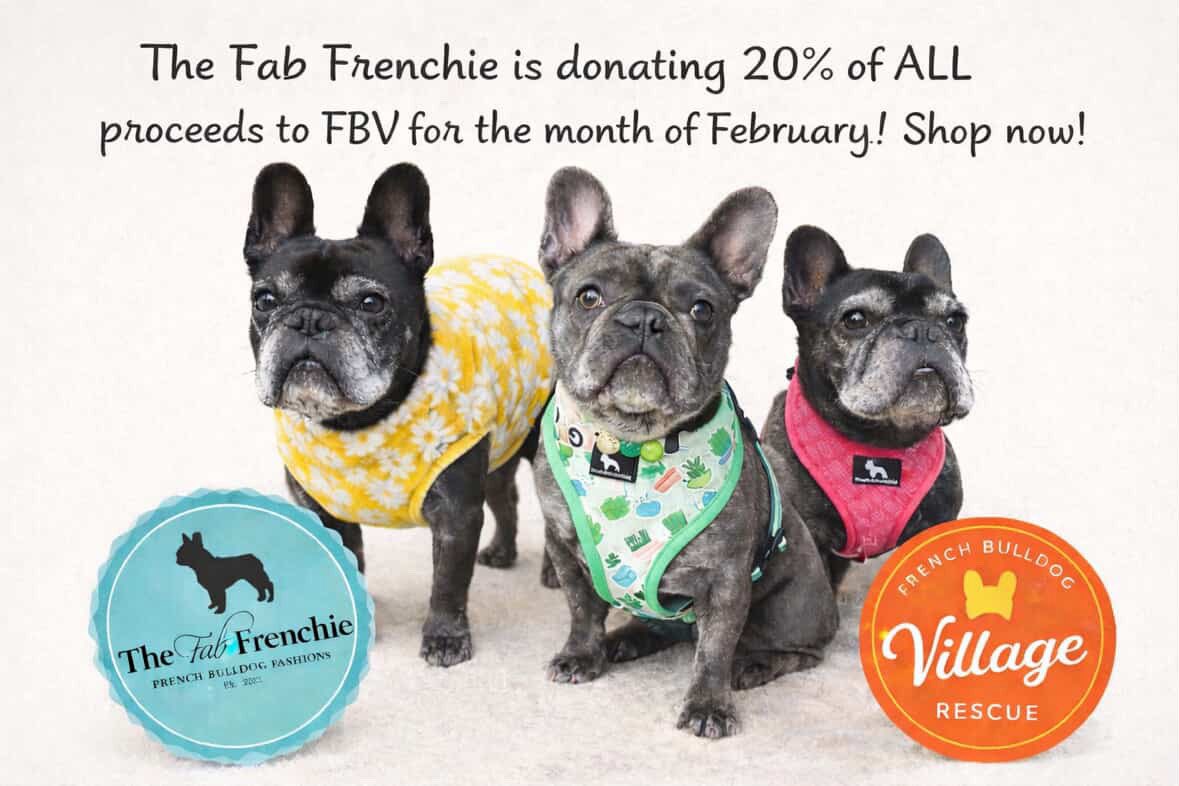 thefabfrenchieco.etsy.com