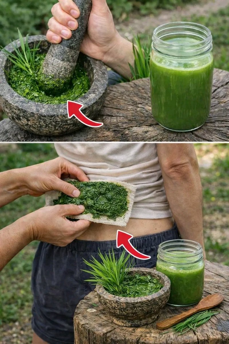 If you have this leaf in your compound you actually have gold but you don't know... Read more 💬👀👇