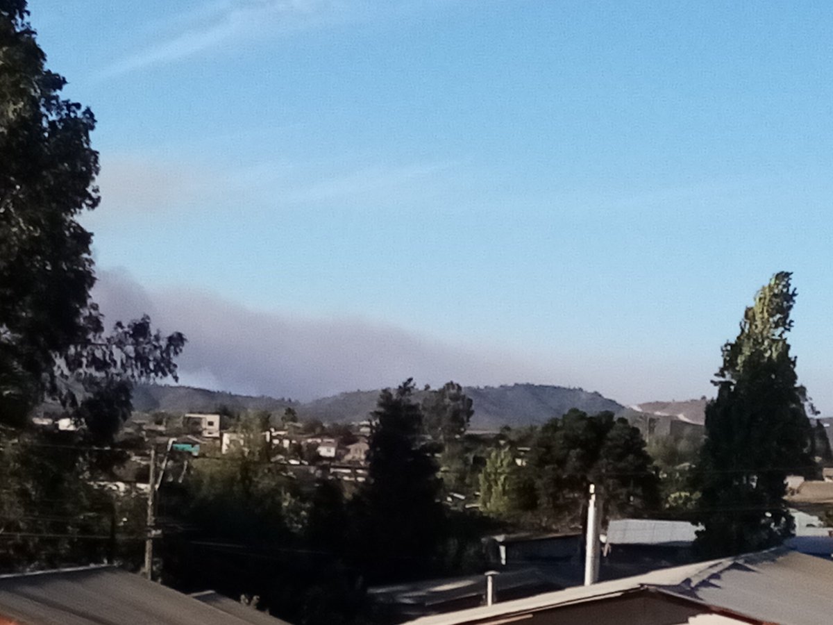 Tomas_Quezo's tweet photo. Incendio de Quilpué https://t.co/B9aq3D3yaY