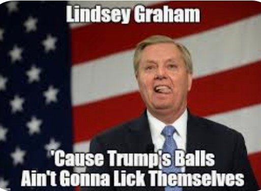Gio0357's tweet image. @LindseyGrahamSC 
TOTAL TRUMP TOOL! 
Pure MAGA trash. 
#TrumpTool #MAGATrash #LickThemBallsLindsey