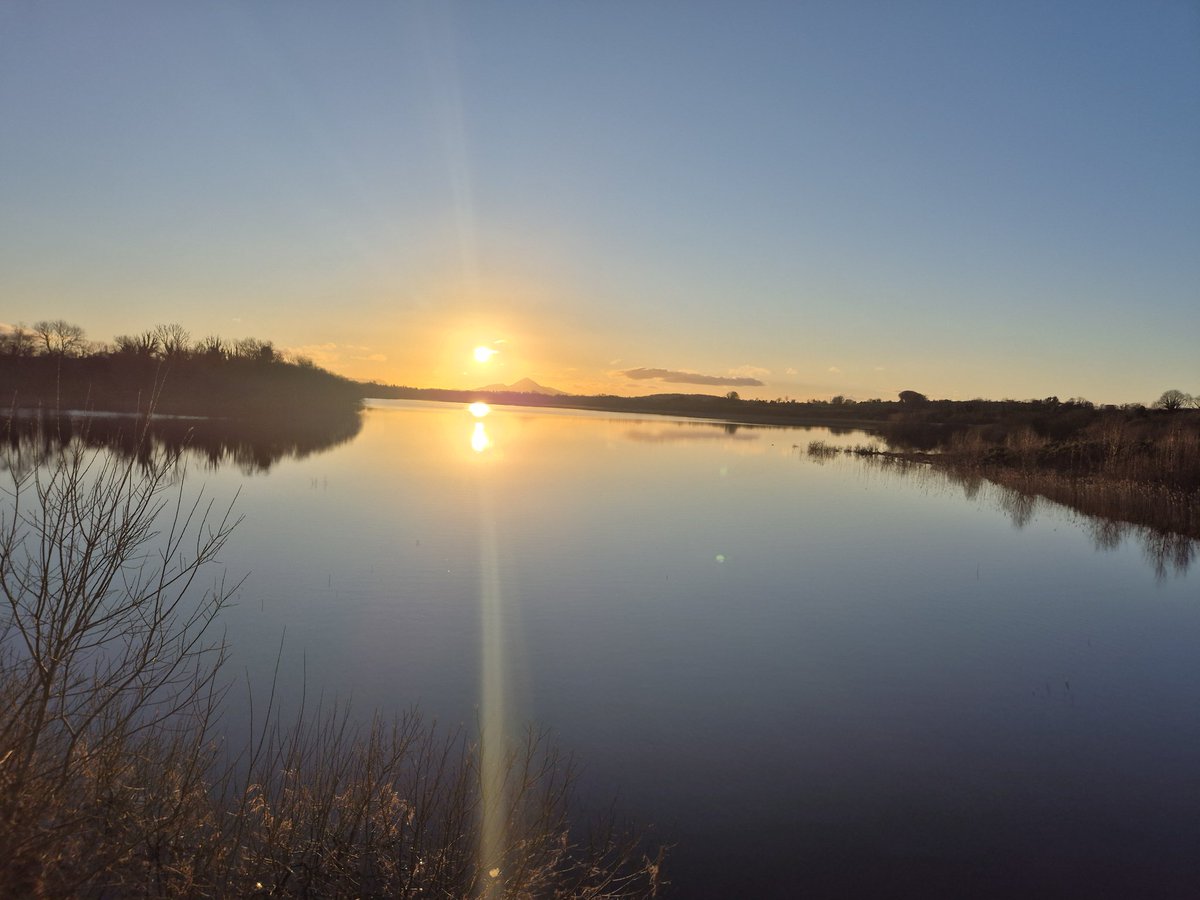 david cawley tweet media