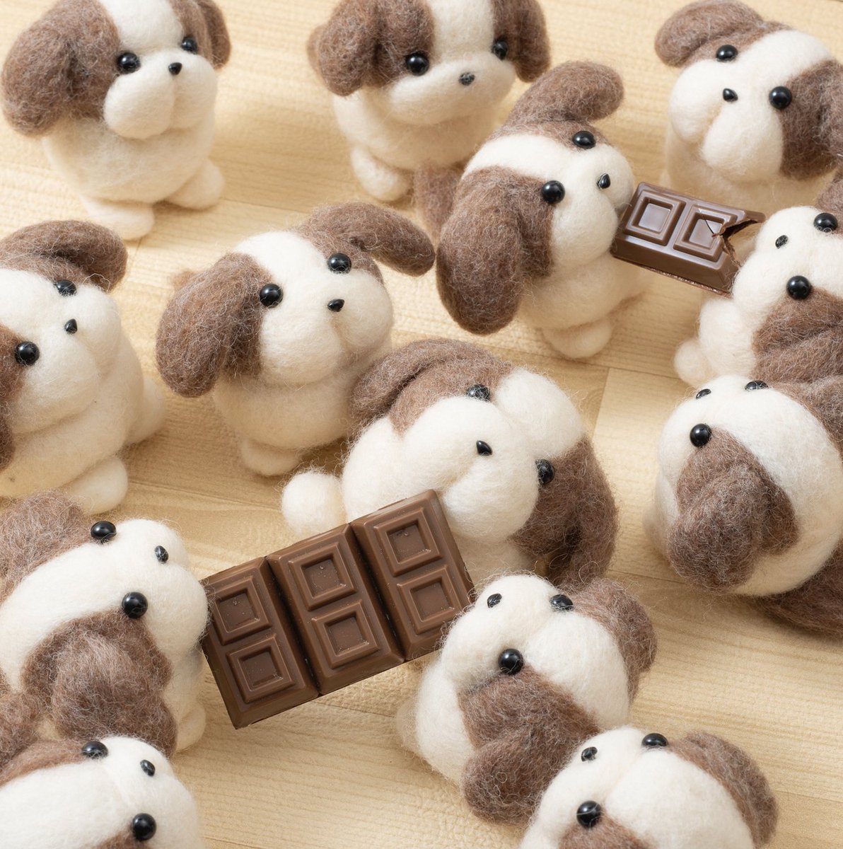 チョコが出た瞬間、平和終了 わんこたちの争奪戦がはじまりました🐶