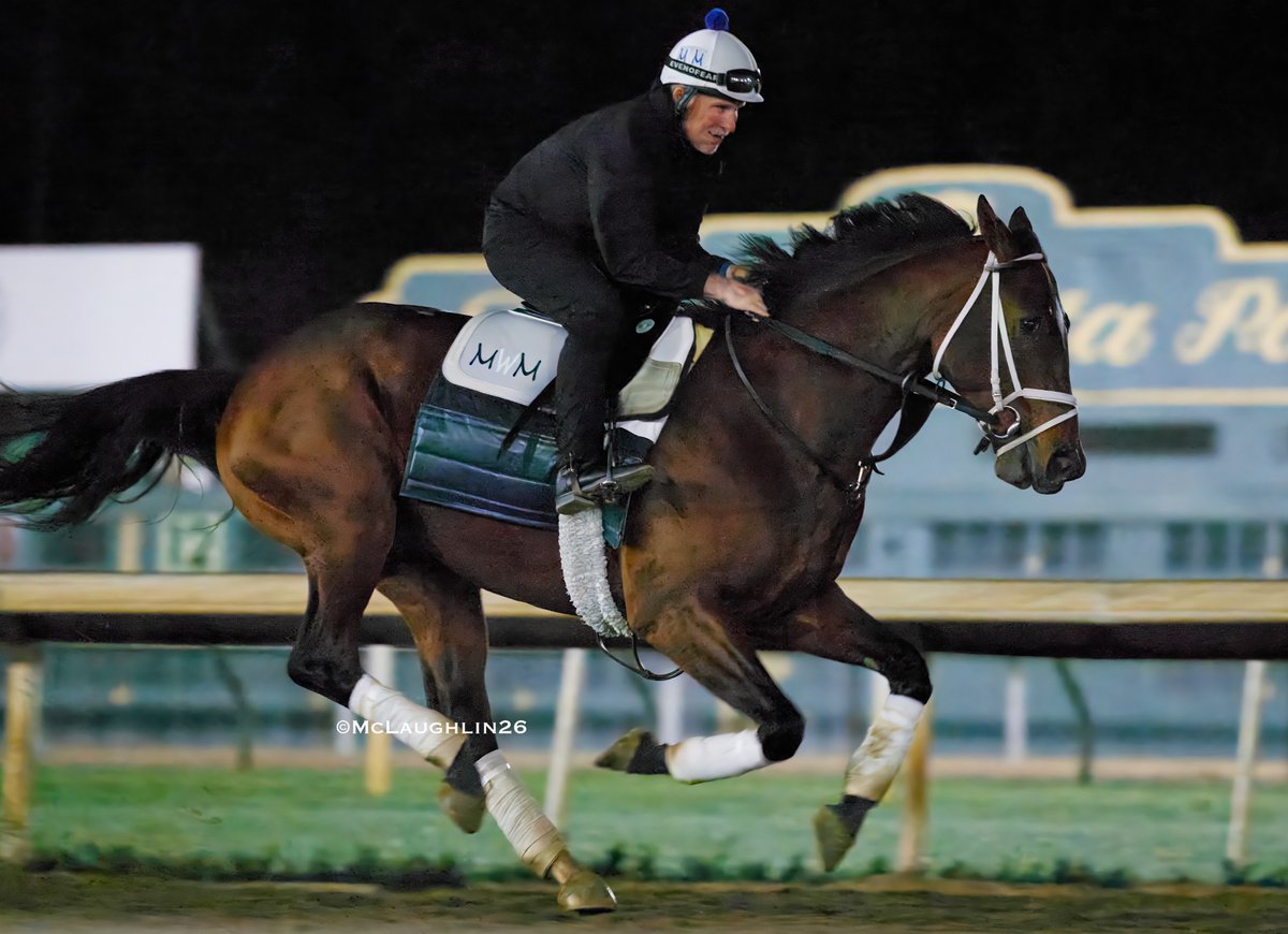 J McLaughlin Safford tweet media