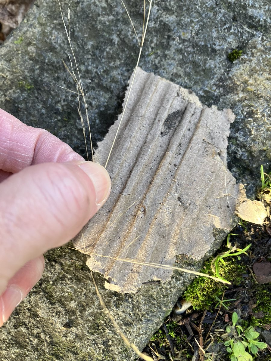 @_pickuplitter tweet media