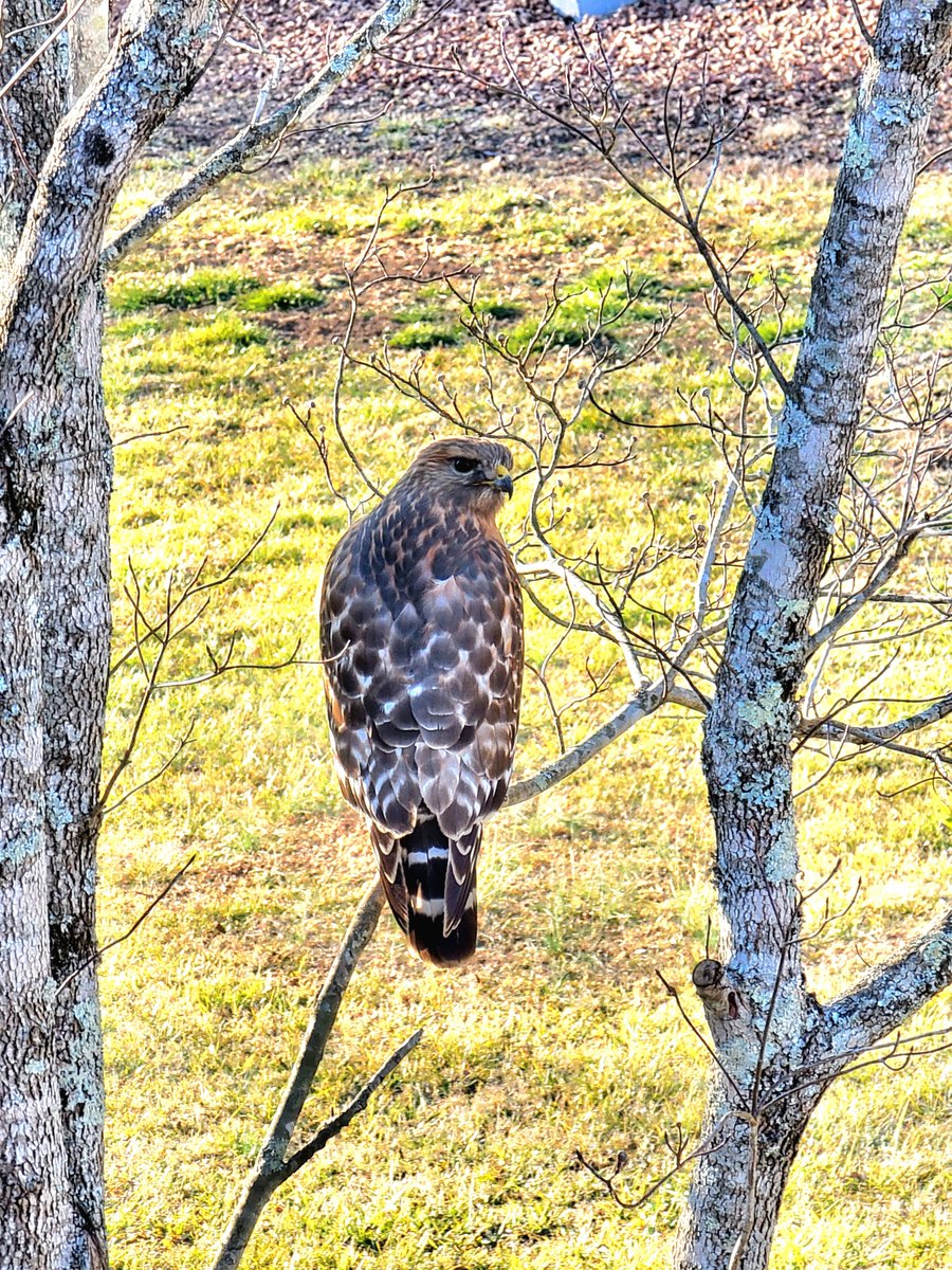 Five Finger Jeff Punch 👊🏽 tweet media