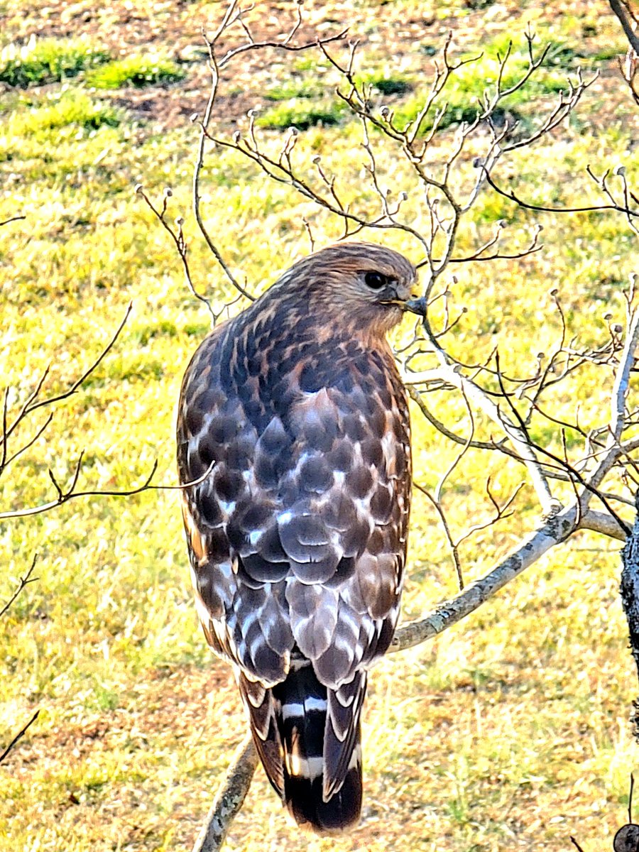 Five Finger Jeff Punch 👊🏽 tweet media