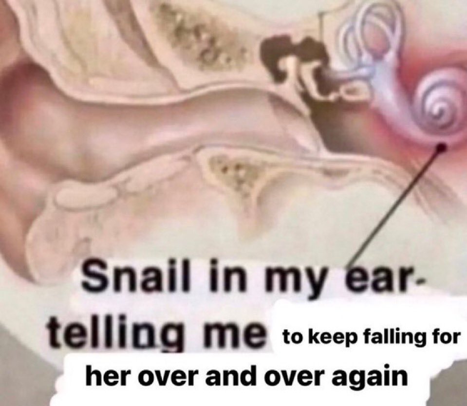 . (@imyrated) on Twitter photo 