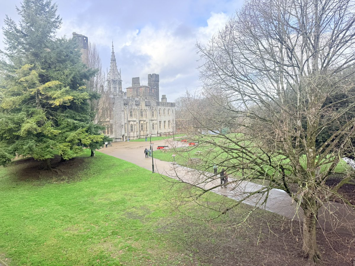 Humanities and Social Sciences tweet media