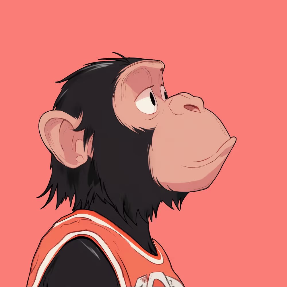 Digi (BackwooD) tweet media