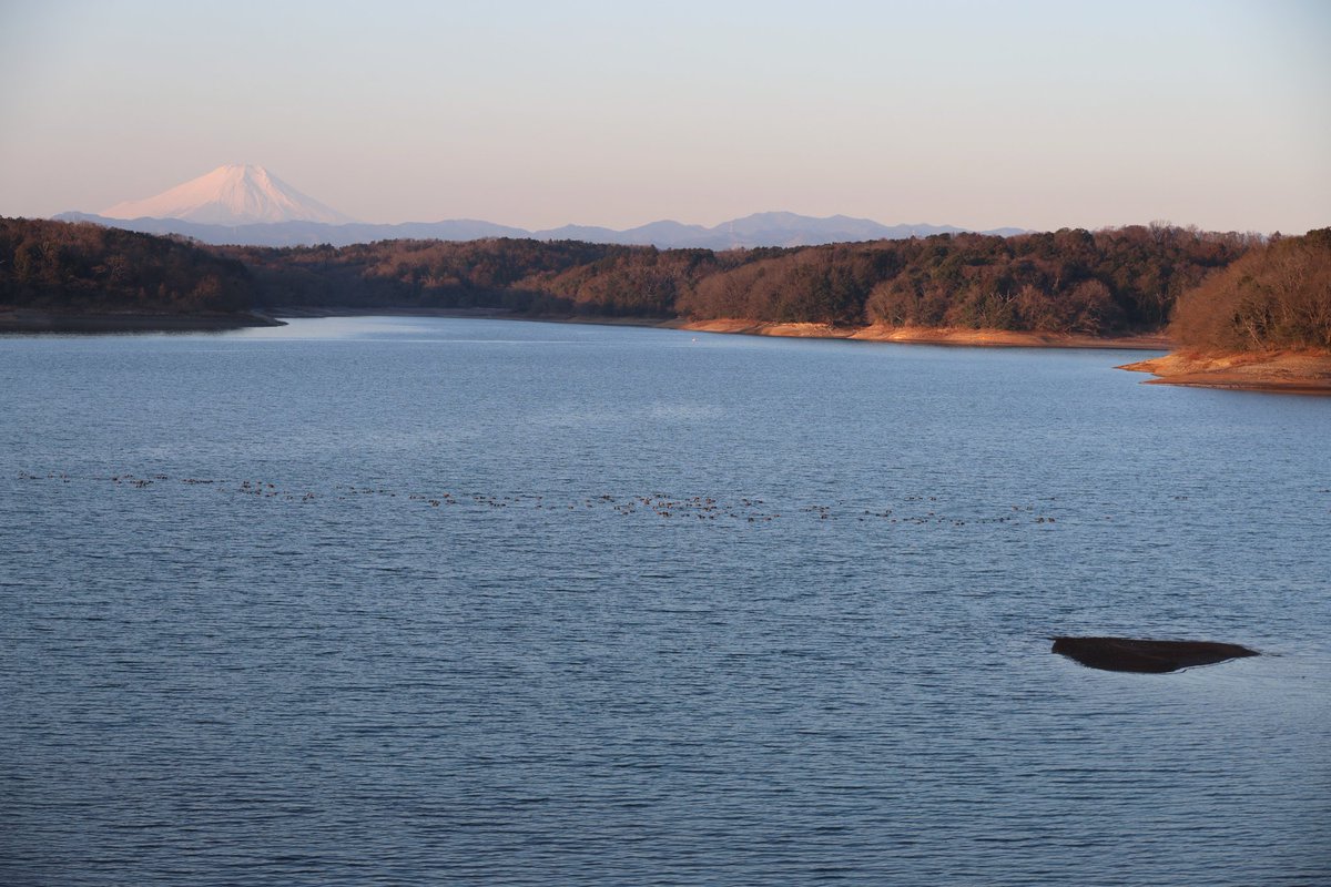 いいトコロ20260214
おはようございます。
晴れの朝をありがとう。
素敵な週末を。

#イマソラ #狭山湖
#朝陽 #日の出 #鴨 #富士山
#あの日あの時所沢 #天晴れ
#来てくだ埼玉 #朝活 #散歩
#写真好きな人と繋がりたい
#トコろんと繋がる今日の空
#むなぞーと繋がる今日の空
#世莉奈さんと繋がる今日の空