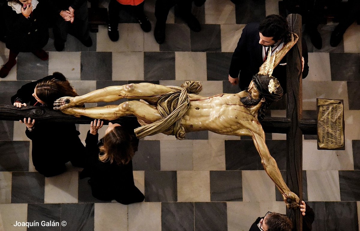 .<a href="/Hdad_Calvario/">Hdad. del Calvario</a> el Solemne #viacrucis y #Traslado del Santísimo Cristo del #Calvario 

#CalvarioSevilla #CristoDelCalvario
#SSantaSevilla26 #SSanta2026
#TDSCofrade #Sevilla