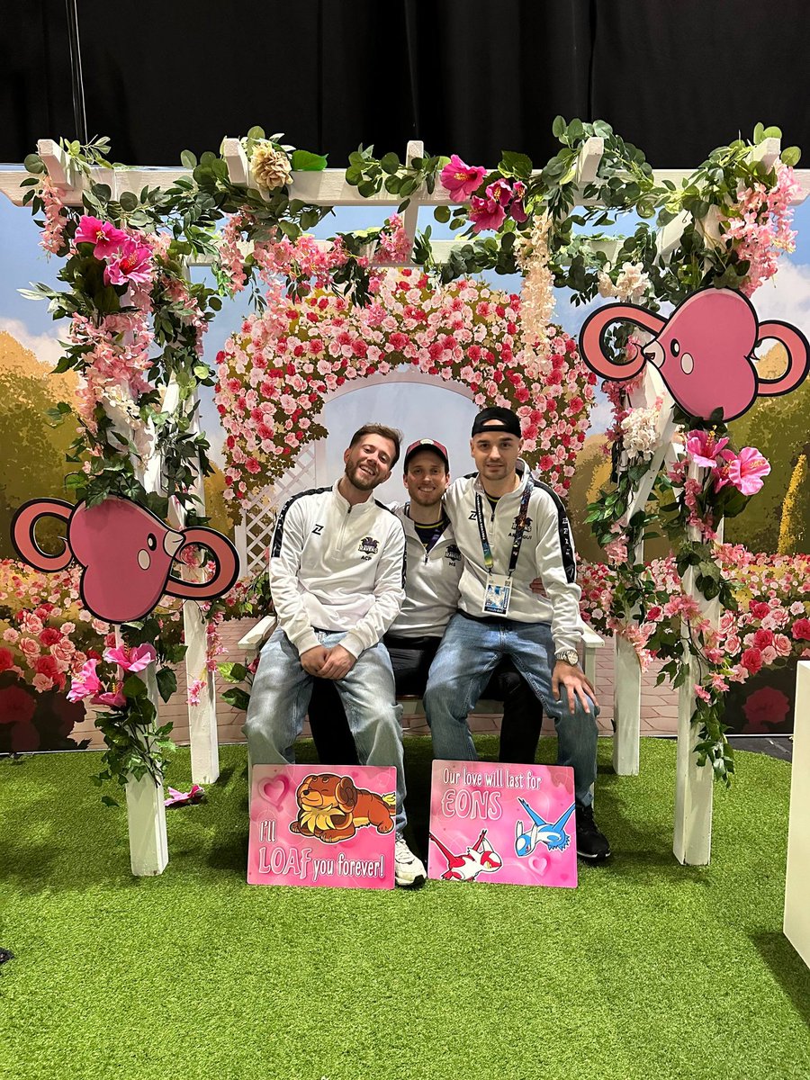 Majada's Ravens tweet media