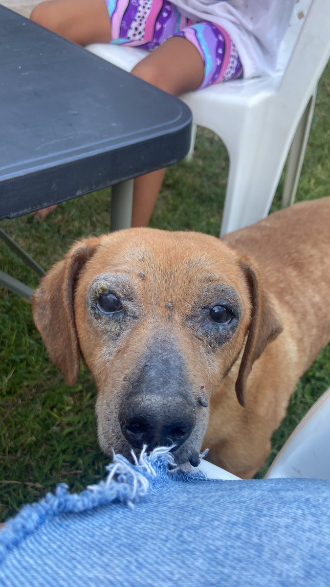 milele ★ 7th year tweet media