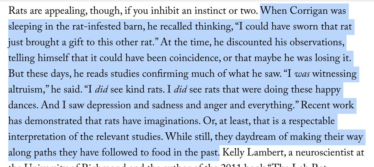 Elena Saavedra Buckley tweet media