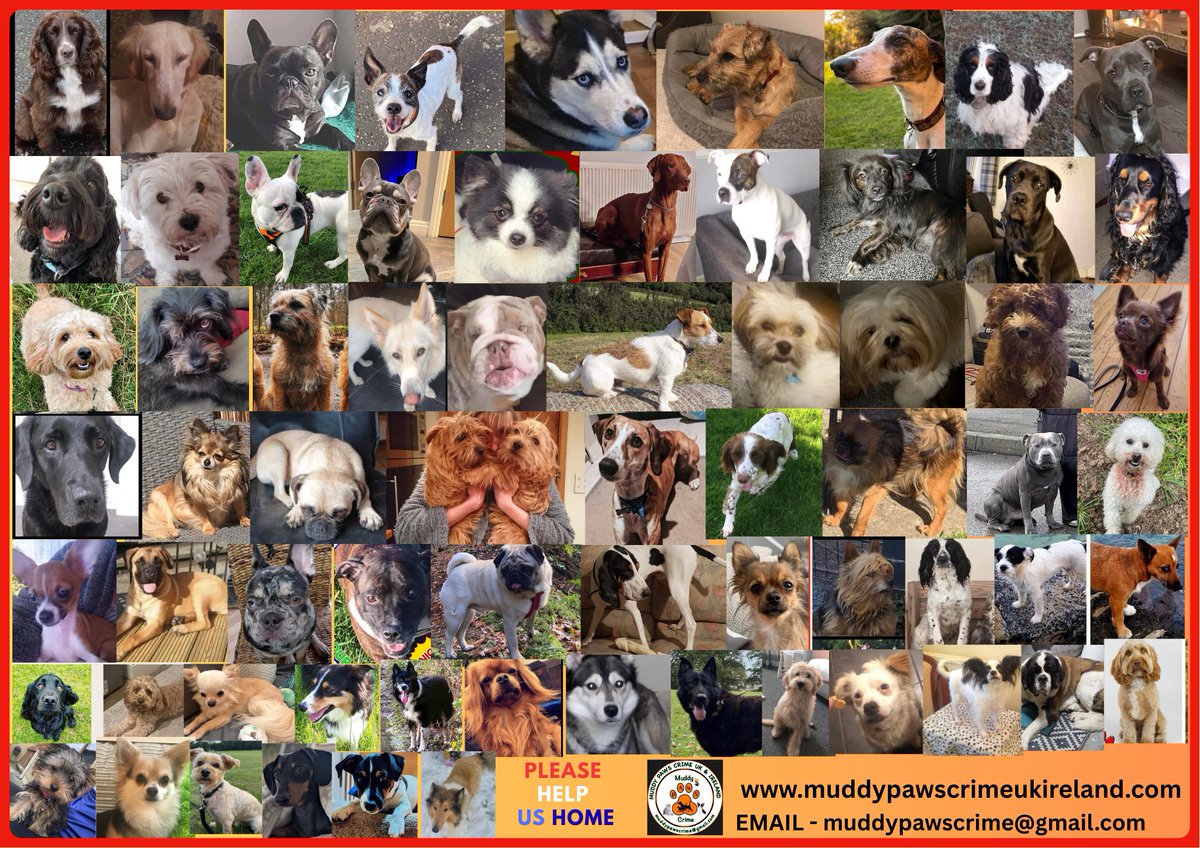 Muddy_paws_crime tweet media